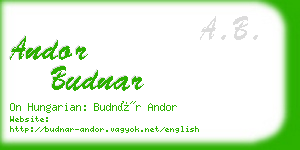 andor budnar business card